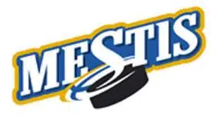 Mestikseen tulee Mestis-lisenssi Mestikseen tulee Mestis-lisenssi