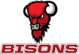 Bisons haluaa euorokentille Bisons haluaa euorokentille