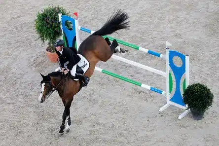 Ratsastuksen suosio kasvanut Suomessa merkittävästi Ratsastuksen suosio kasvanut Suomessa merkittävästi