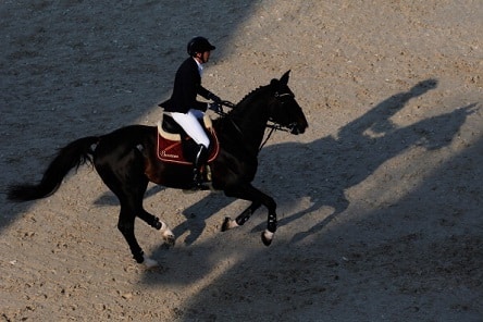 Ruosteelle lupaava alku Helsinki Horse Showssa Ruosteelle lupaava alku Helsinki Horse Showssa