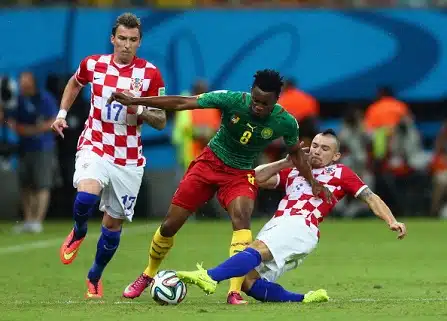 Kroatia pieksi pahasti töpänneen Kamerunin Kroatia pieksi pahasti töpänneen Kamerunin