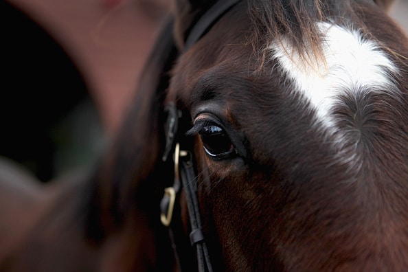 Jorma Kontiolle vihdoin ravikuninkuus Jorma Kontiolle vihdoin ravikuninkuus