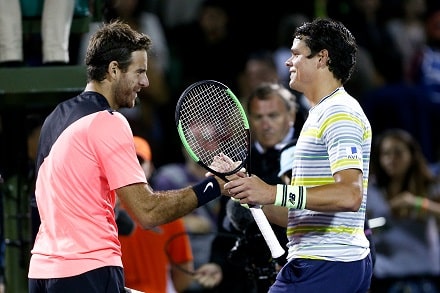 Välieriin – Juan Martin del Potro venytti komeaa voittoputkeaan