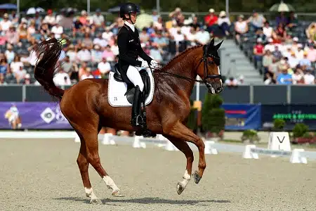 Suomalaisratsastaja loisti Puolassa - kauden avaus tapaili täysosuma Suomalaisratsastaja loisti Puolassa – kauden avaus tapaili täysosuma