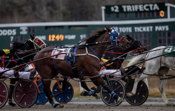Yle hankki "merkittävän" tapahtuman tv-oikeudet Yle hankki ”merkittävän” tapahtuman tv-oikeudet