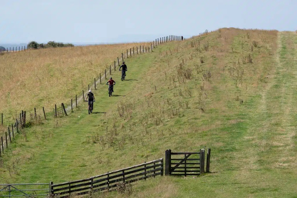 Iiro Sairanen ja Sini Alusniemi juhlivat Salpausselällä