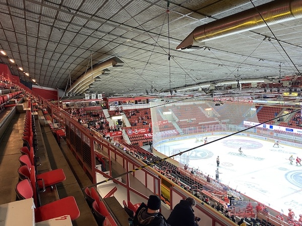 Leijonien peliin saatiin lopulta tunnelmaa - HIFK-fanien kannatushuudolla: "Stadin kingit" Leijonien peliin saatiin lopulta tunnelmaa – HIFK-fanien kannatushuudolla: ”Stadin kingit”