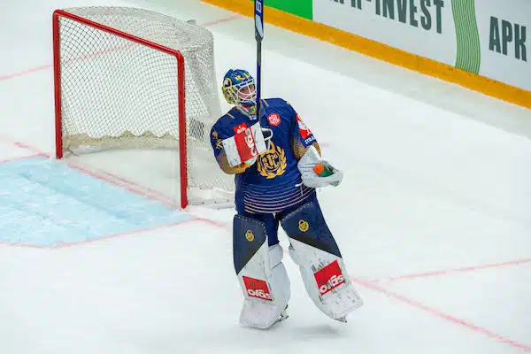Expressen: Leijonapelaajan tulevaisuus selvillä – seurapomo vaikeni