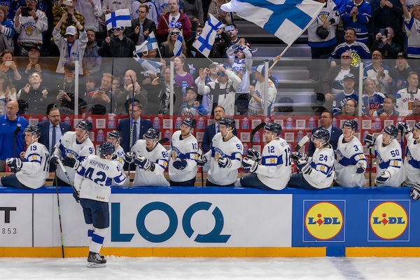 Katastrofista on turha höpistä - Leijonien tappio voi tehdä jopa hyvää Katastrofista on turha höpistä – Leijonien tappio voi tehdä jopa hyvää