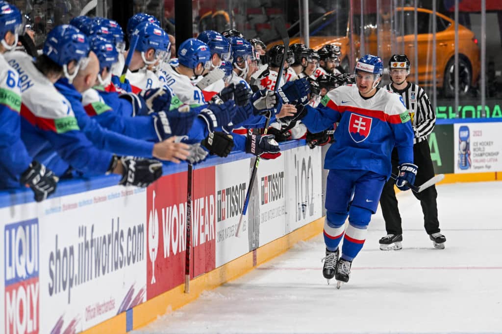 Nuorilla Leijonilla karu muisto Slovakiasta – karsea epäonnistuminen Nuorilla Leijonilla karu muisto Slovakiasta – karsea epäonnistuminen