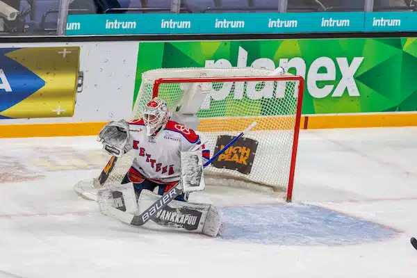 Mestis-seura kiinnitti SM-liigapelaajia