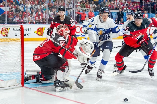 Kanada iski Suomen kanveesiin - Leijonia uhkaa katastrofi Kanada iski Suomen kanveesiin – Leijonia uhkaa katastrofi