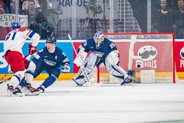 Näin paljon Leijonat sokeerannut maali maksoi Veikkaukselle Näin paljon Leijonat sokeerannut maali maksoi Veikkaukselle