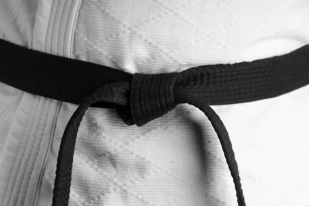 Yksi kaikkien aikojen suomalaiskaratekoista löi ginsä naulaan