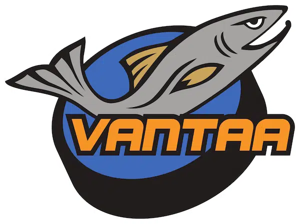 Kiekko-Vantaa kyntää Mestiksessä