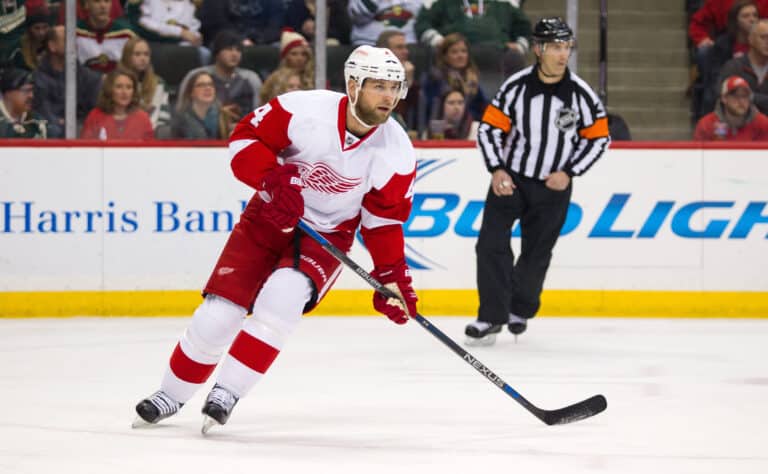 Mestis-seura hankki yli 300 NHL-ottelun järkäleen