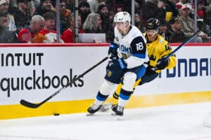 Leijonille vapautui uusia pelaajia MM-kisoihin