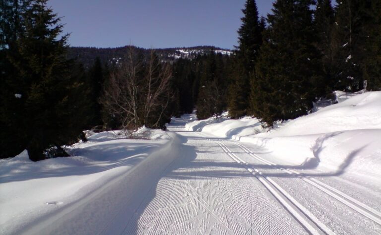 Immo Kuutsa on kuollut