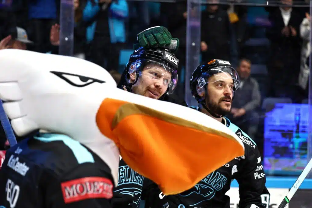 Pekko Pelikaani käänsi takkinsa täysin