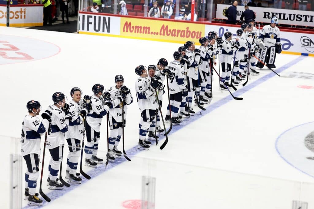 Leijonat kärsi karun tappion Leijonat kärsi karun tappion