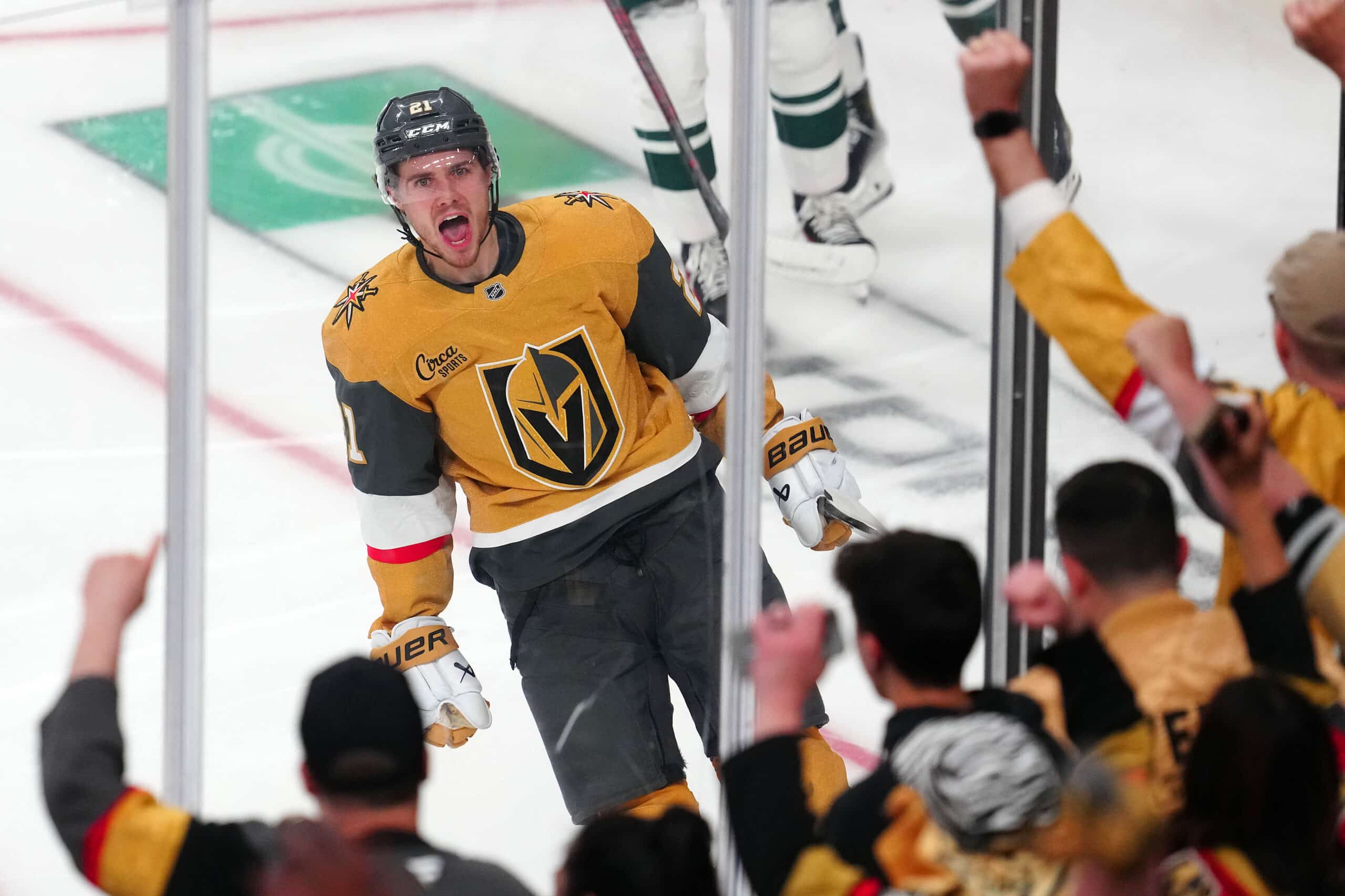 Soturi suisti Minnesotan kuilun partaalle NHL:ssä