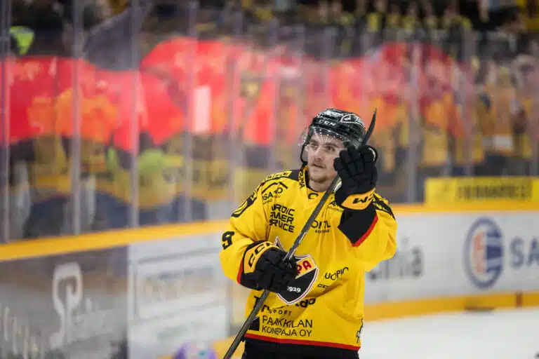 Leijoniin oli tehtävä muutos