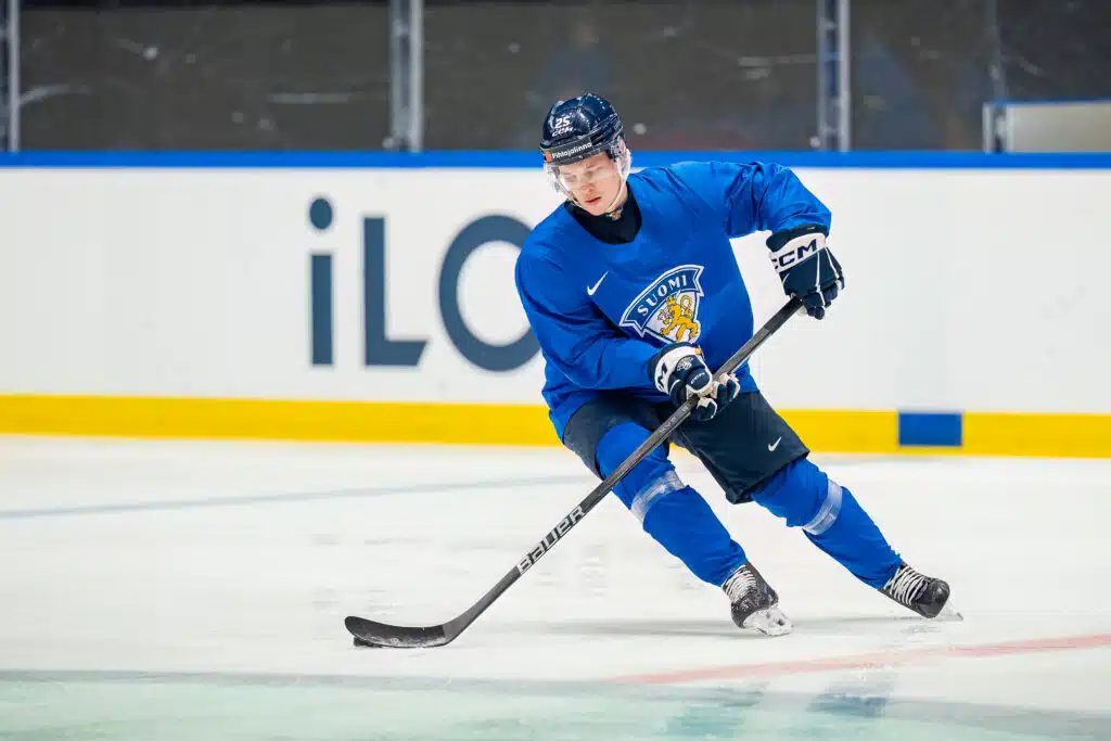 Leijonahyökkääjästä leviää nyt ikävä väite Ruotsissa