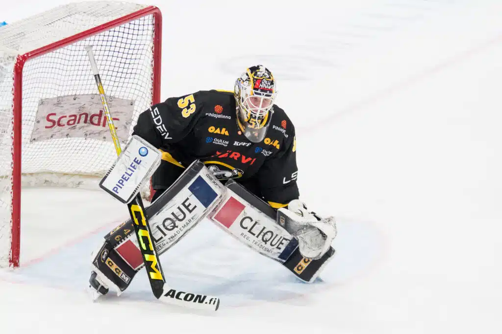 Leijona-vahti löysi uuden seuran