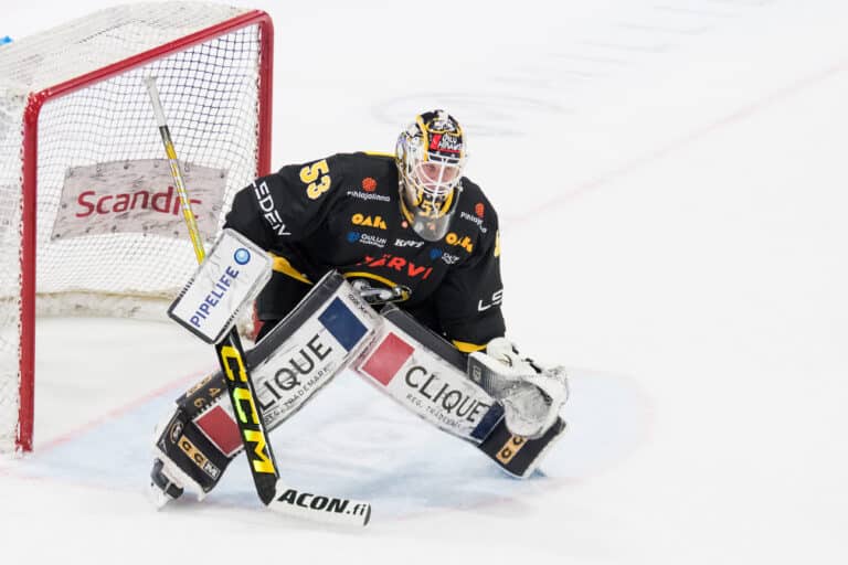 Leijona-vahti löysi uuden seuran