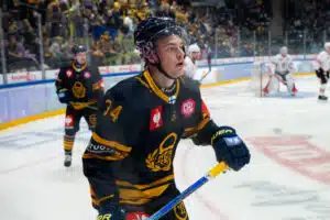 Lukko sopimukseen Leijona-pakin kanssa