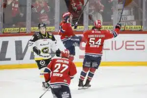 HIFK:n petologo tekee paluun