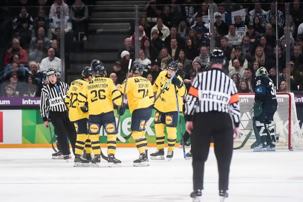 Leijonille jääkylmä suihku