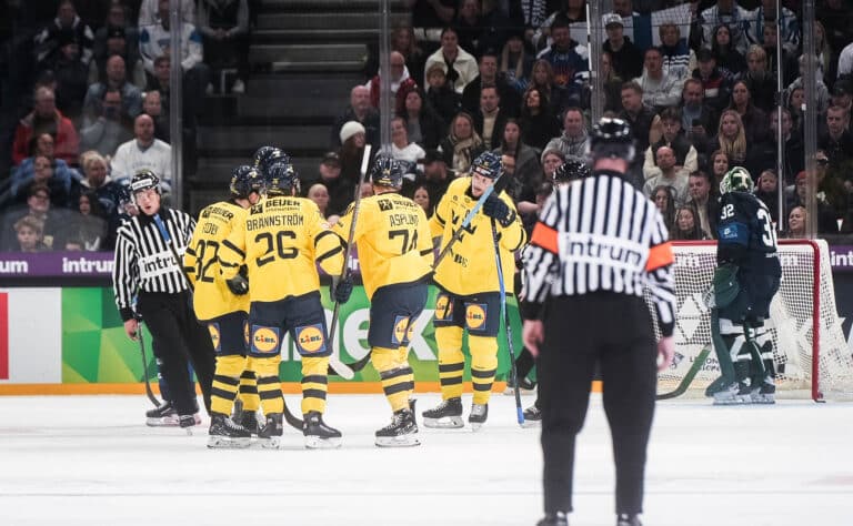 Leijonille jääkylmä suihku Leijonille jääkylmä suihku