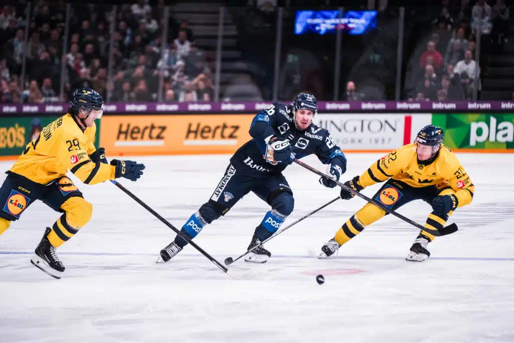 Leijonapelaaja loukkaantui – ”Painajaismaista”