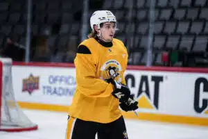 Suomalaislupaus sai NHL-kutsun