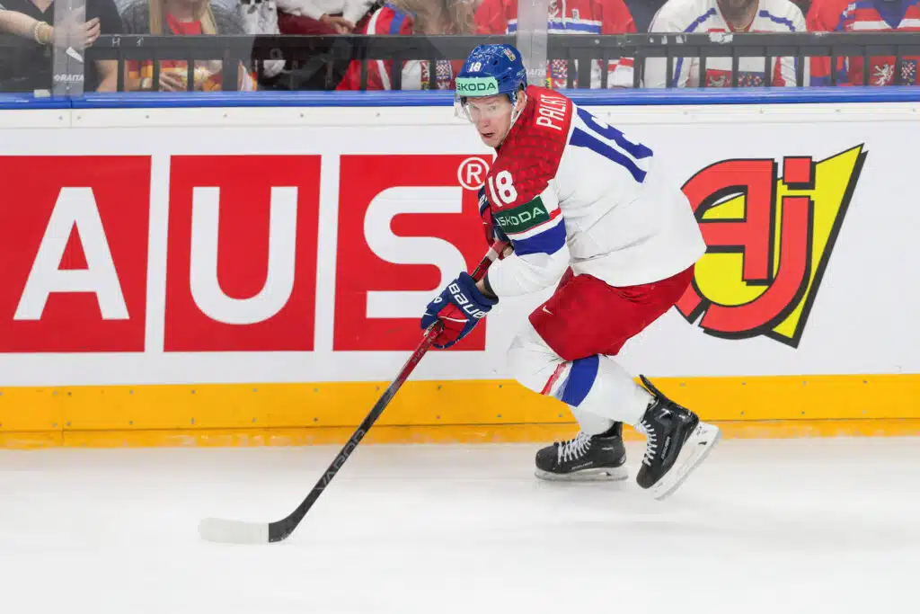 Ylihintainen floppihyökkääjä kaupattiin NHL:ssä – tässä uusi seura