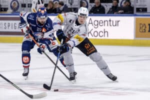 Leijonien hyökkääjä sopimukseen sveitsiläisseuran kanssa