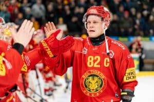 Kultaleijona palaa SM-liigaan – kapteeniksi valittiin toinen