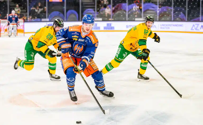 Ilves notkahti, mutta selvisi ehjin nahoin Ilves notkahti, mutta selvisi ehjin nahoin