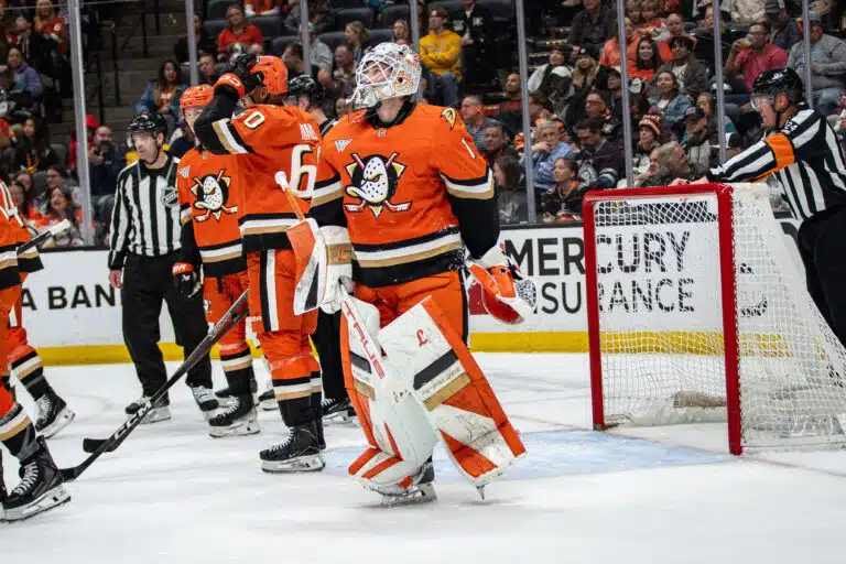 Anaheim Ducks, NHL