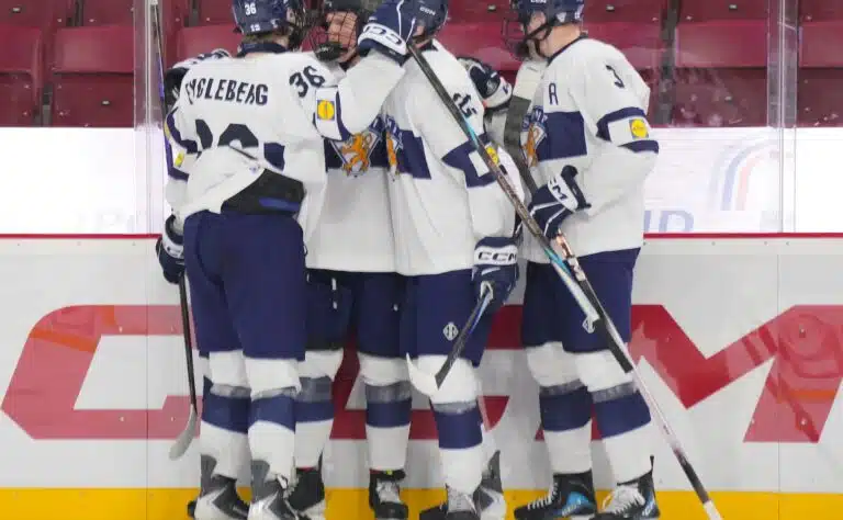 Pikkuleijonat: nyt oli todella vakuuttavaa