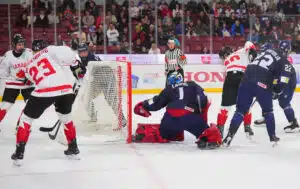 Pikkuleijonille ruma kylvetys