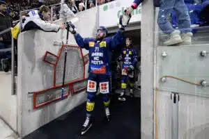 Leijona-pakille murheellisia uutisia – kuukausien sairausloma