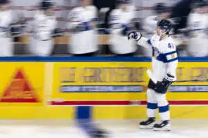 Leijonilla on kova euroviisukuume Leijonilla on kova euroviisukuume