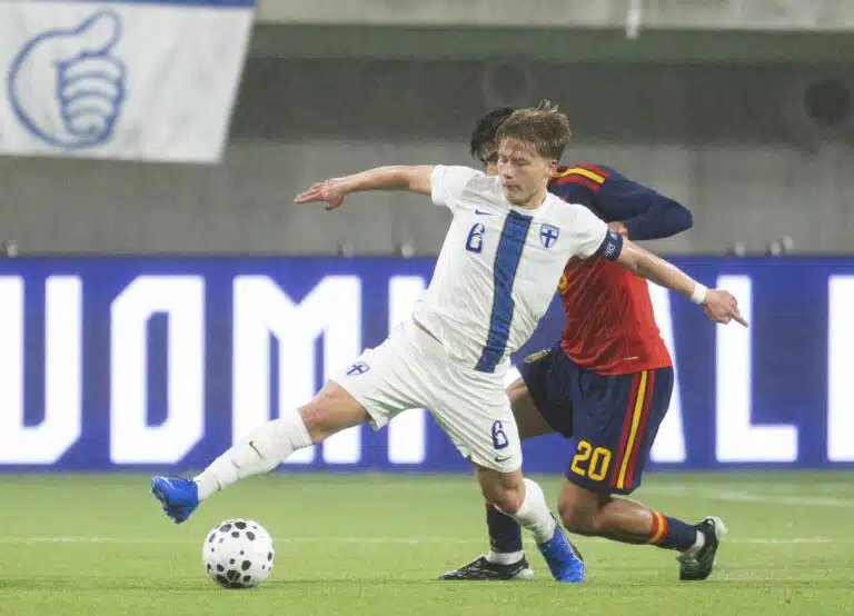 Matias Siltanen Pikkuhuuhkajat
