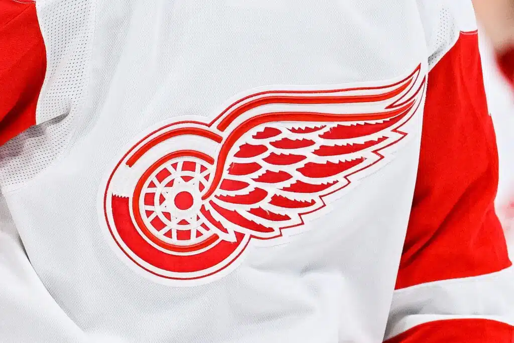 NHL-sisäpiiriläinen paljasti kummallisen yksityiskohdan Detroitin GM-hausta – yhteydenpito katkesi täysin Detroit Red Wingsin logo