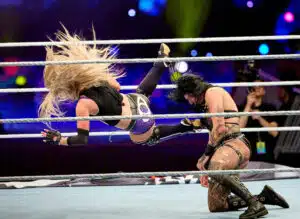 Wrestling, ammattipaini